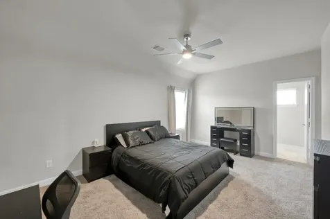 241 Bright Bluff Circle Waller TX 77484