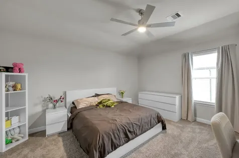 241 Bright Bluff Circle Waller TX 77484