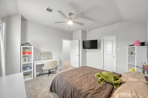 241 Bright Bluff Circle Waller TX 77484