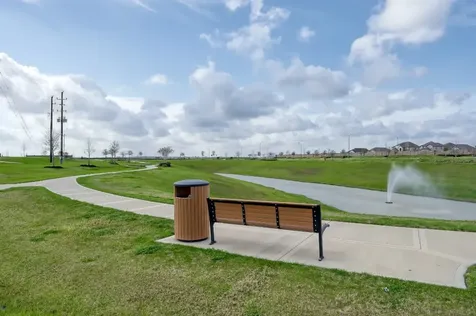 241 Bright Bluff Circle Waller TX 77484