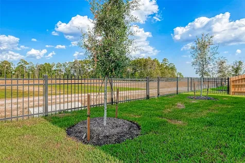 3106 Rising Fir Lane Conroe TX 77385