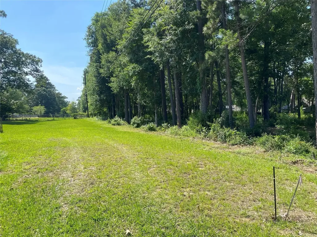 2107 Roman Forest Boulevard New Caney TX 77357