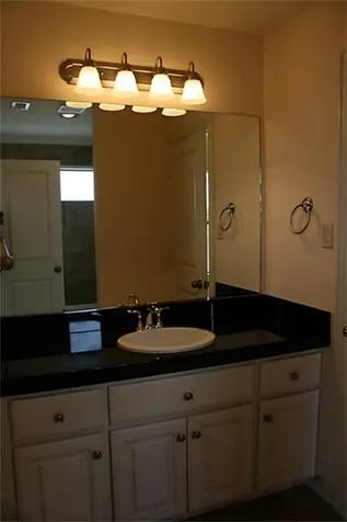 2046 Palm Forest Lane Houston TX 77077