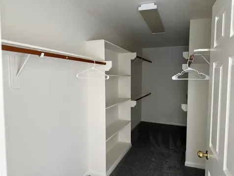 14930 Cabin Run Lane Sugar Land TX 77498