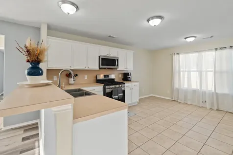 20807 Carsen Spring Court Katy TX 77449