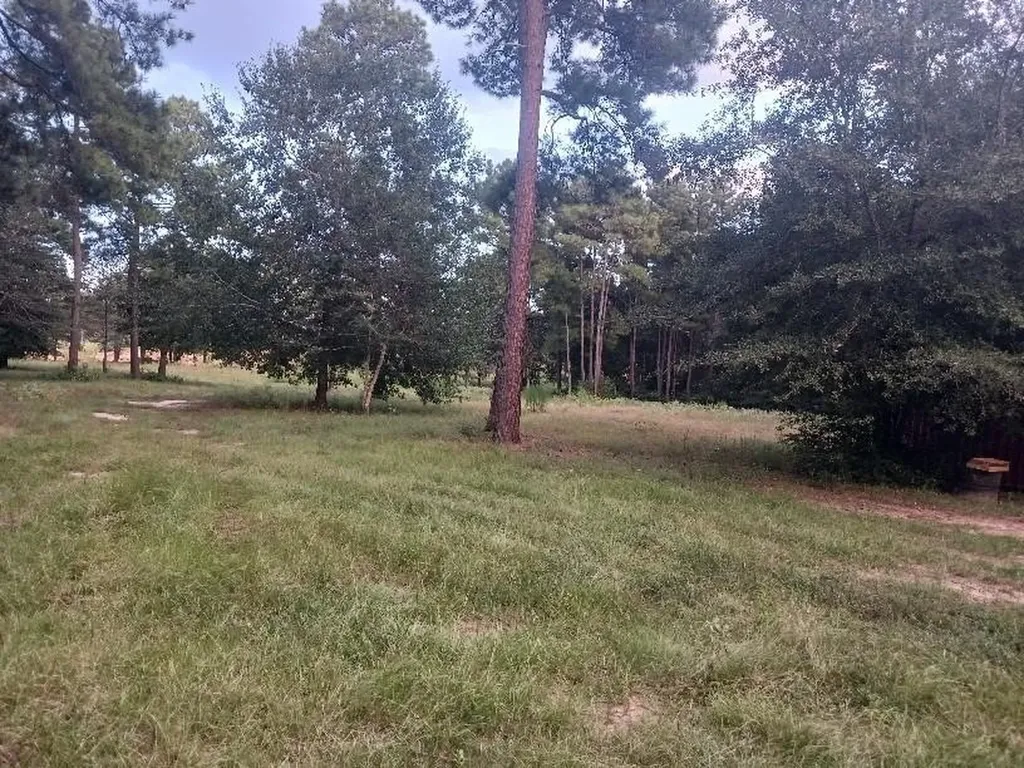 24140 Grand Pines Road Magnolia TX 77355