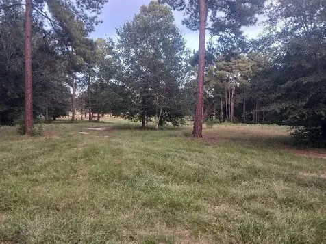 24140 Grand Pines Road Magnolia TX 77355