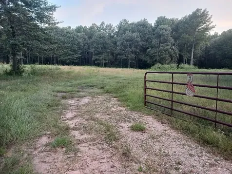 24140 Grand Pines Road Magnolia TX 77355