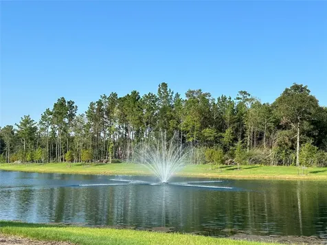 16530 Pine Arrow Drive Conroe TX 77302
