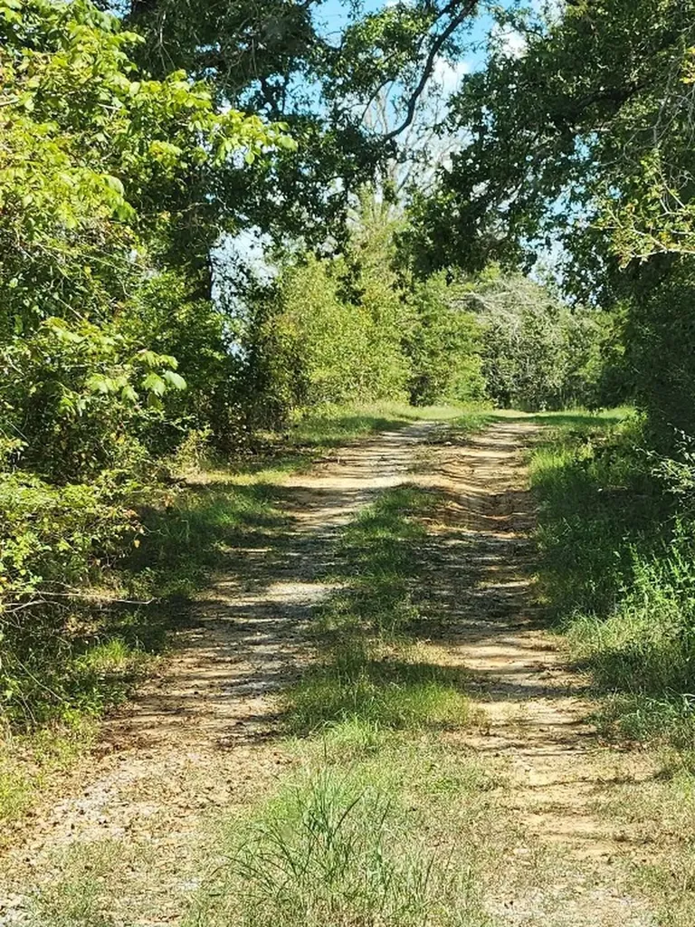 17454 Fm 542 Oakwood TX 75855