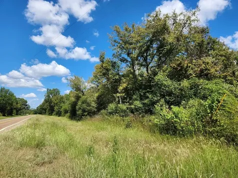 17454 Fm 542 Oakwood TX 75855