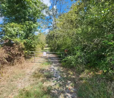 17454 Fm 542 Oakwood TX 75855
