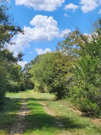 17454 Fm 542 Oakwood TX 75855