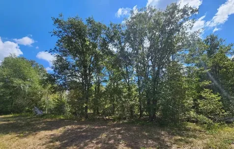 17454 Fm 542 Oakwood TX 75855