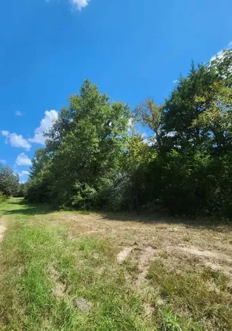 17454 Fm 542 Oakwood TX 75855