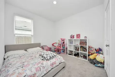 26427 Virginia Wild Rye Lane Katy TX 77493