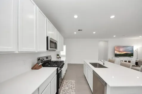 26427 Virginia Wild Rye Lane Katy TX 77493