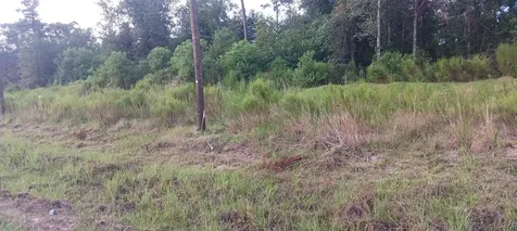 4244 Road 5714 Cleveland TX 77327