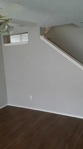 46 Wineberry Place The Woodlands TX 77382
