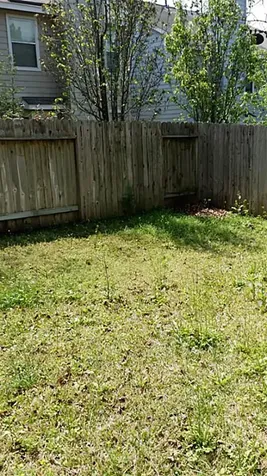 46 Wineberry Place The Woodlands TX 77382