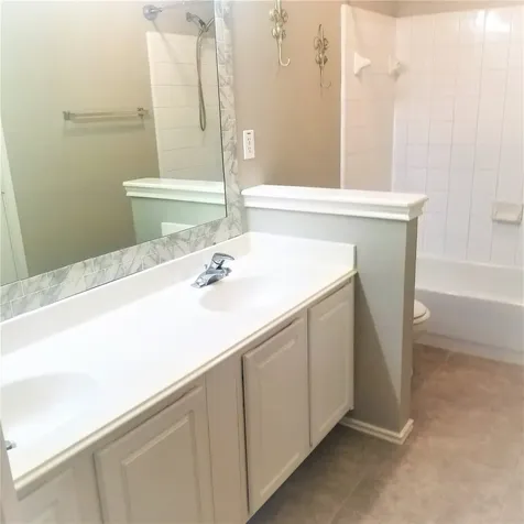46 Wineberry Place The Woodlands TX 77382