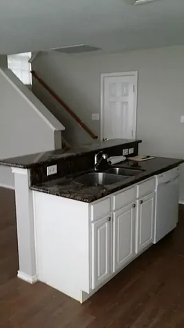 46 Wineberry Place The Woodlands TX 77382