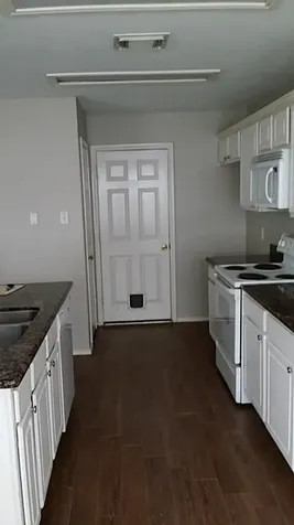 46 Wineberry Place The Woodlands TX 77382