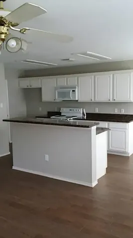 46 Wineberry Place The Woodlands TX 77382