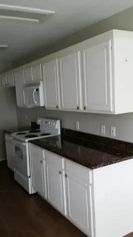 46 Wineberry Place The Woodlands TX 77382