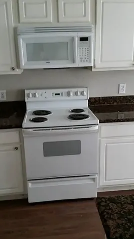 46 Wineberry Place The Woodlands TX 77382