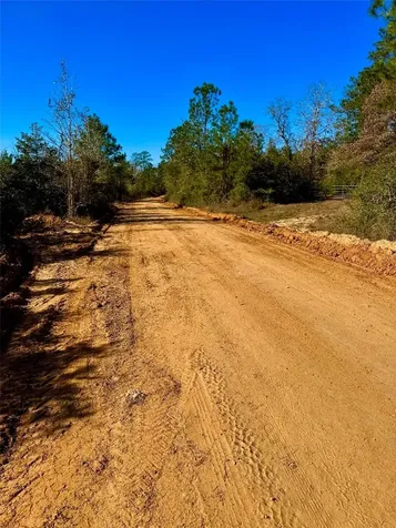 2845 County Road Colmesneil TX 75938