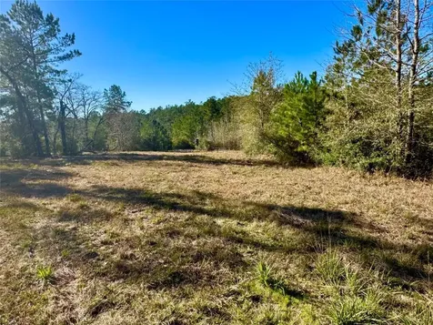 2845 County Road Colmesneil TX 75938