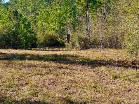 2845 County Road Colmesneil TX 75938