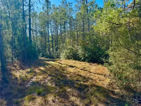 2845 County Road Colmesneil TX 75938