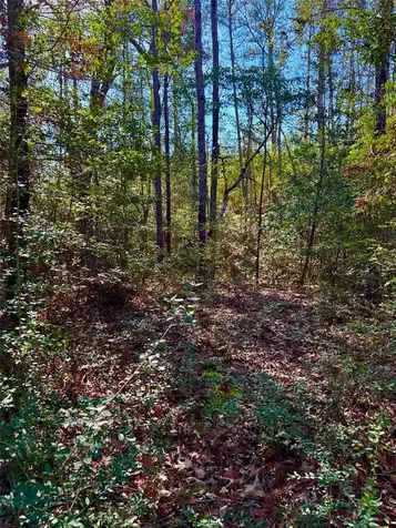 2845 County Road Colmesneil TX 75938