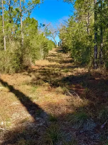2845 County Road Colmesneil TX 75938