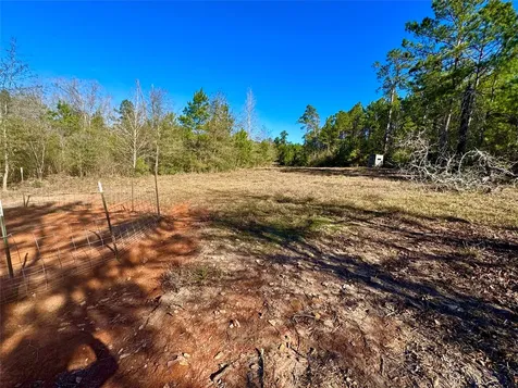 2845 County Road Colmesneil TX 75938