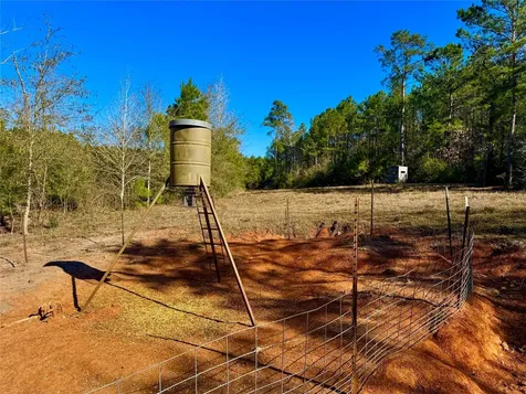 2845 County Road Colmesneil TX 75938
