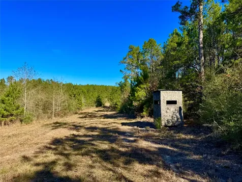 2845 County Road Colmesneil TX 75938