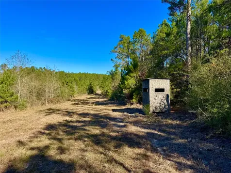 2845 County Road Colmesneil TX 75938