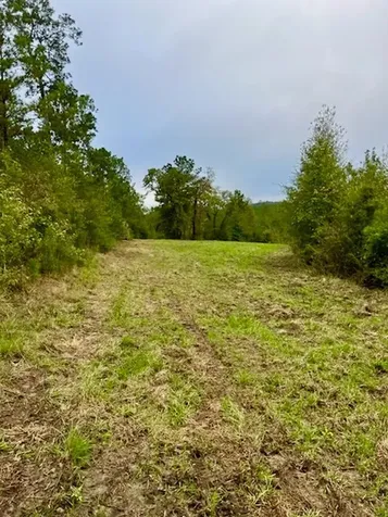 2845 County Road Colmesneil TX 75938