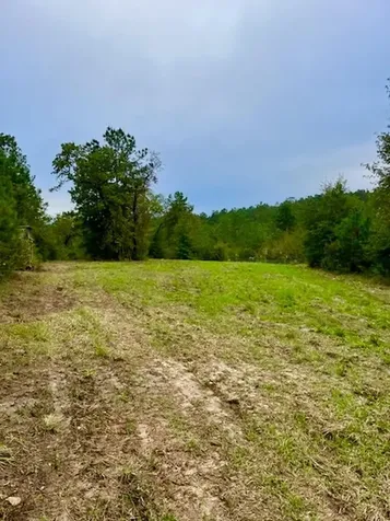 2845 County Road Colmesneil TX 75938