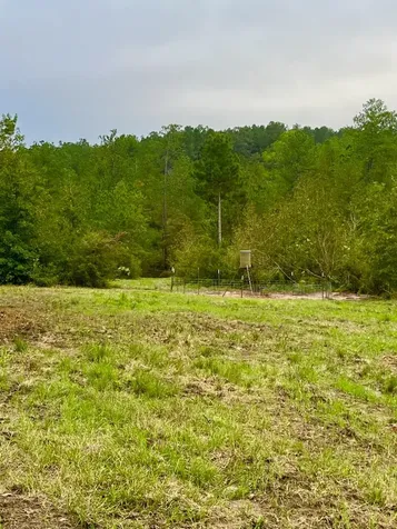 2845 County Road Colmesneil TX 75938