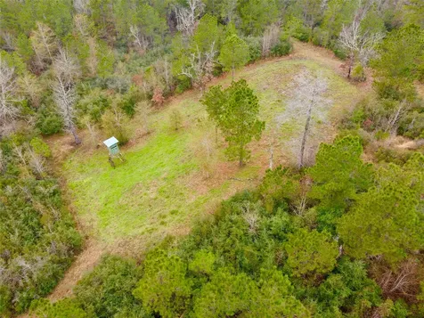 2845 County Road Colmesneil TX 75938