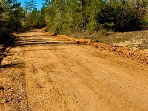 2845 County Road Colmesneil TX 75938