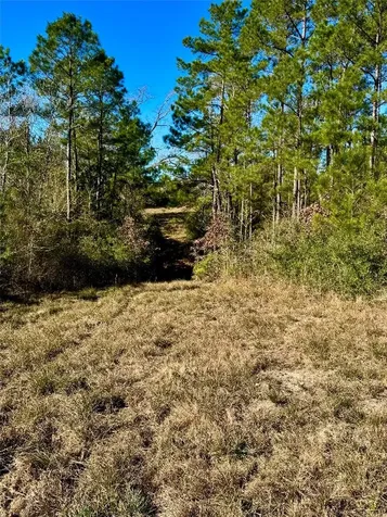 2845 County Road Colmesneil TX 75938