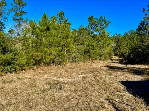 2845 County Road Colmesneil TX 75938