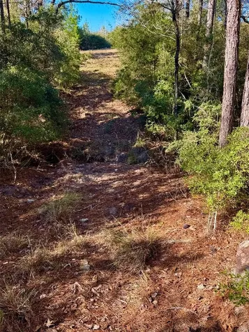 2845 County Road Colmesneil TX 75938