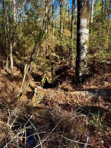 2845 County Road Colmesneil TX 75938
