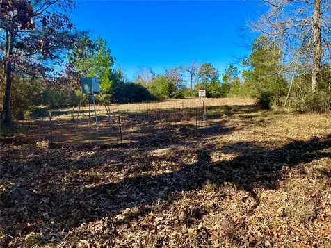 2845 County Road Colmesneil TX 75938